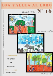 revista 25 buena